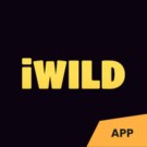 iWild casino automaty a hry