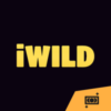 iWild casino bonusy a promo akce