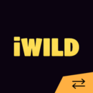 iWild casino vklady a výběry