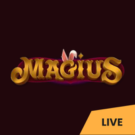 Magius live casino